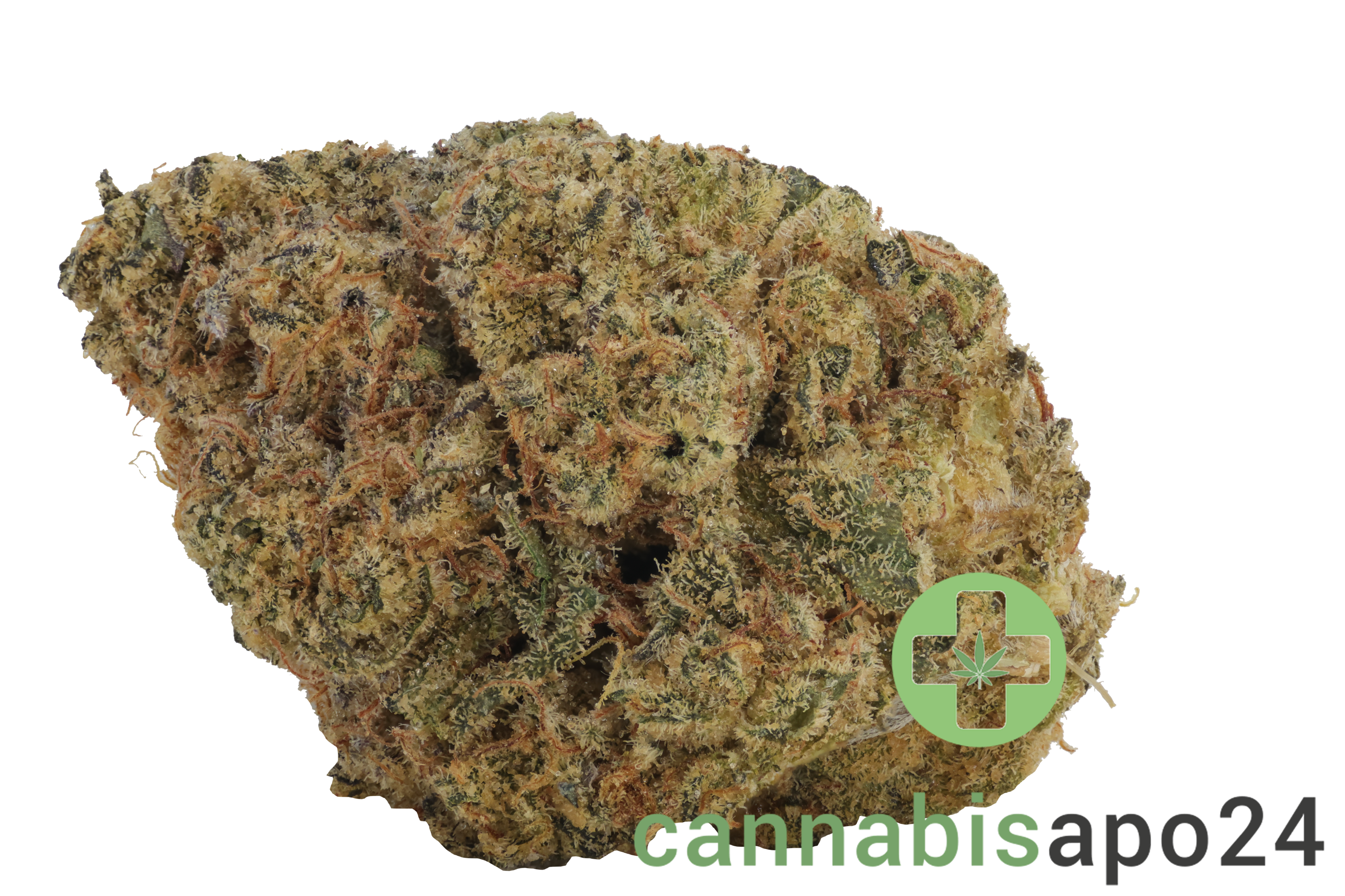 Cresco RSE 36/1 Jack Black