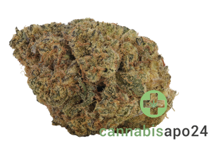 Cresco RSE 36/1 Jack Black