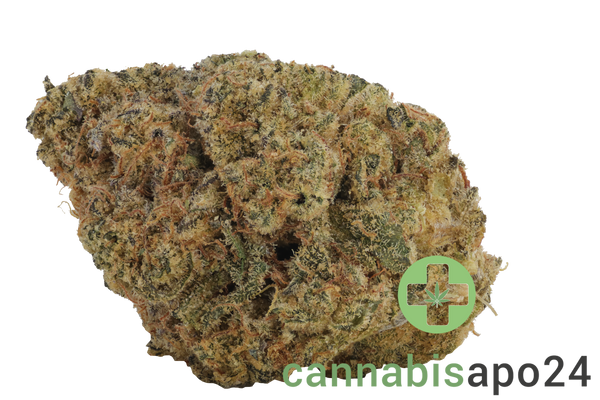 Cresco RSE 36/1 Jack Black