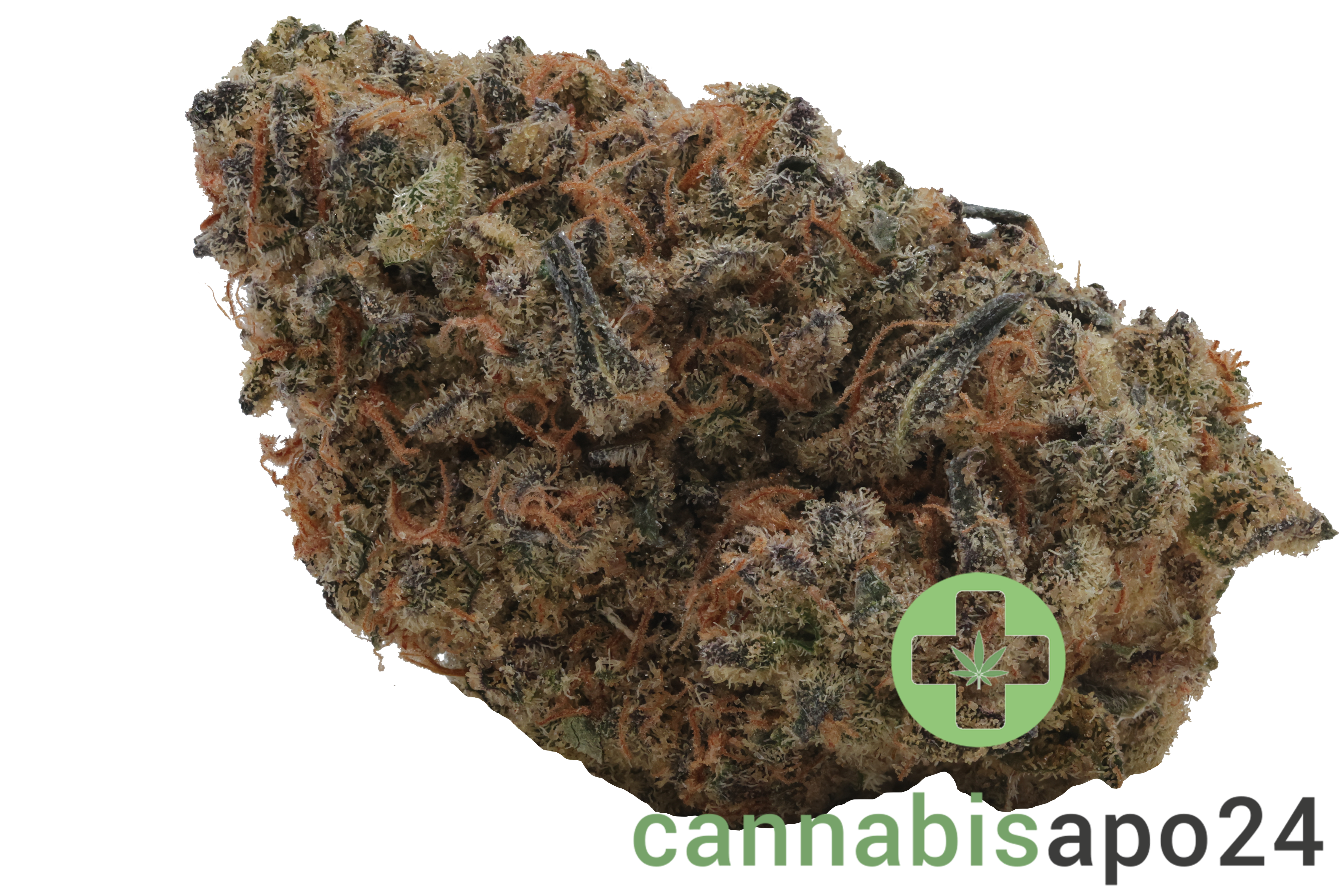 CRQSH BNTZ 30/1 Banana Runtz