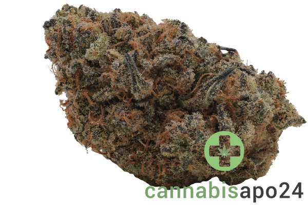 CRQSH BNTZ 30/1 Banana Runtz