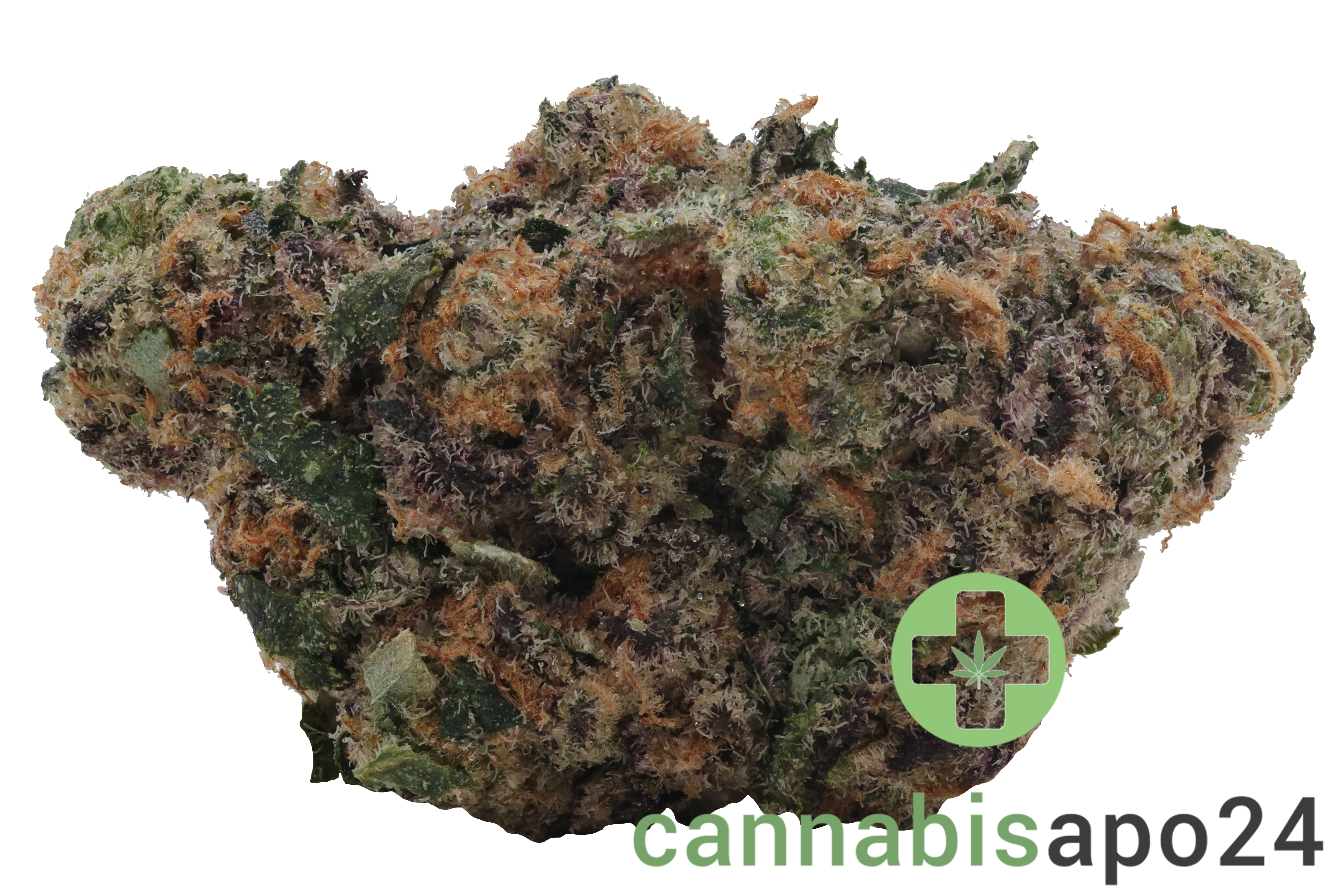 CRQSH GKY 30/1 Gas Monkey