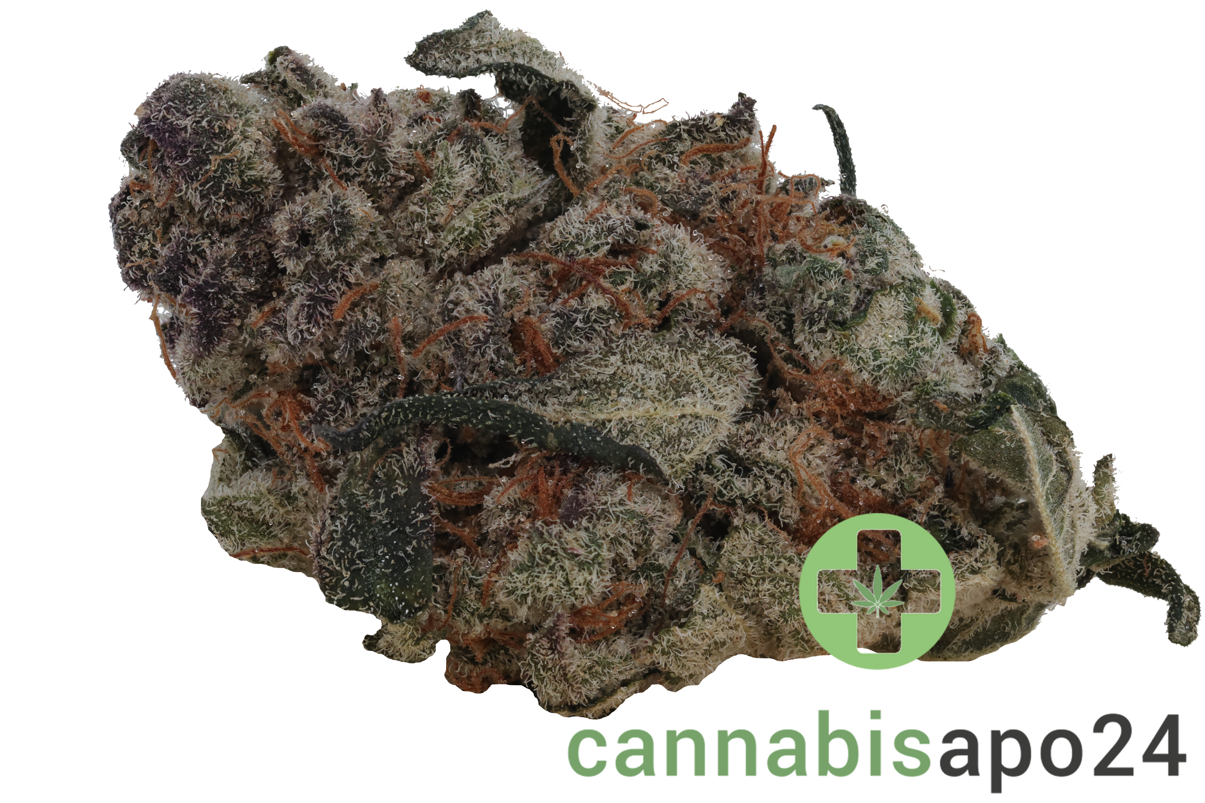 CzechOut 15/1 BLO Blockberry