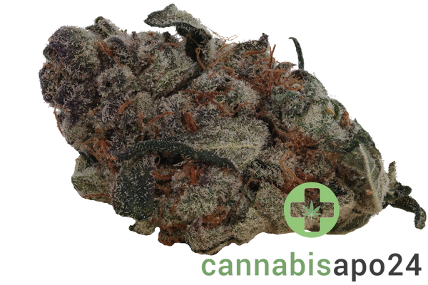 CzechOut 15/1 BLO Blockberry
