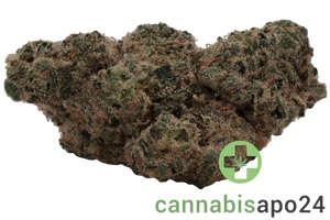 CzechOut 24/1 PUO Purple Octane