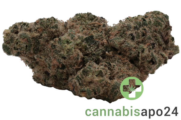 CzechOut 24/1 PUO Purple Octane