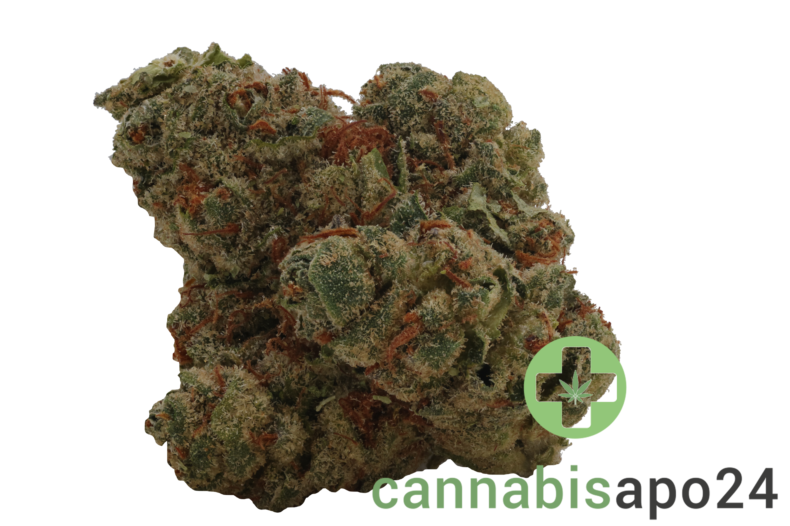 Daily Special 21/1 LEM Lemonatti