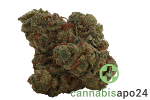 Daily Special 21/1 LEM Lemonatti