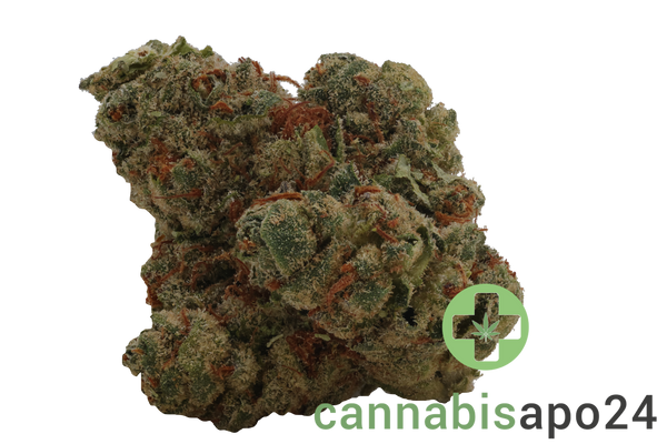 Daily Special 21/1 LEM Lemonatti