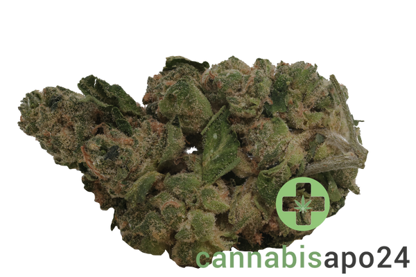 Daily Special 25/1 GMO