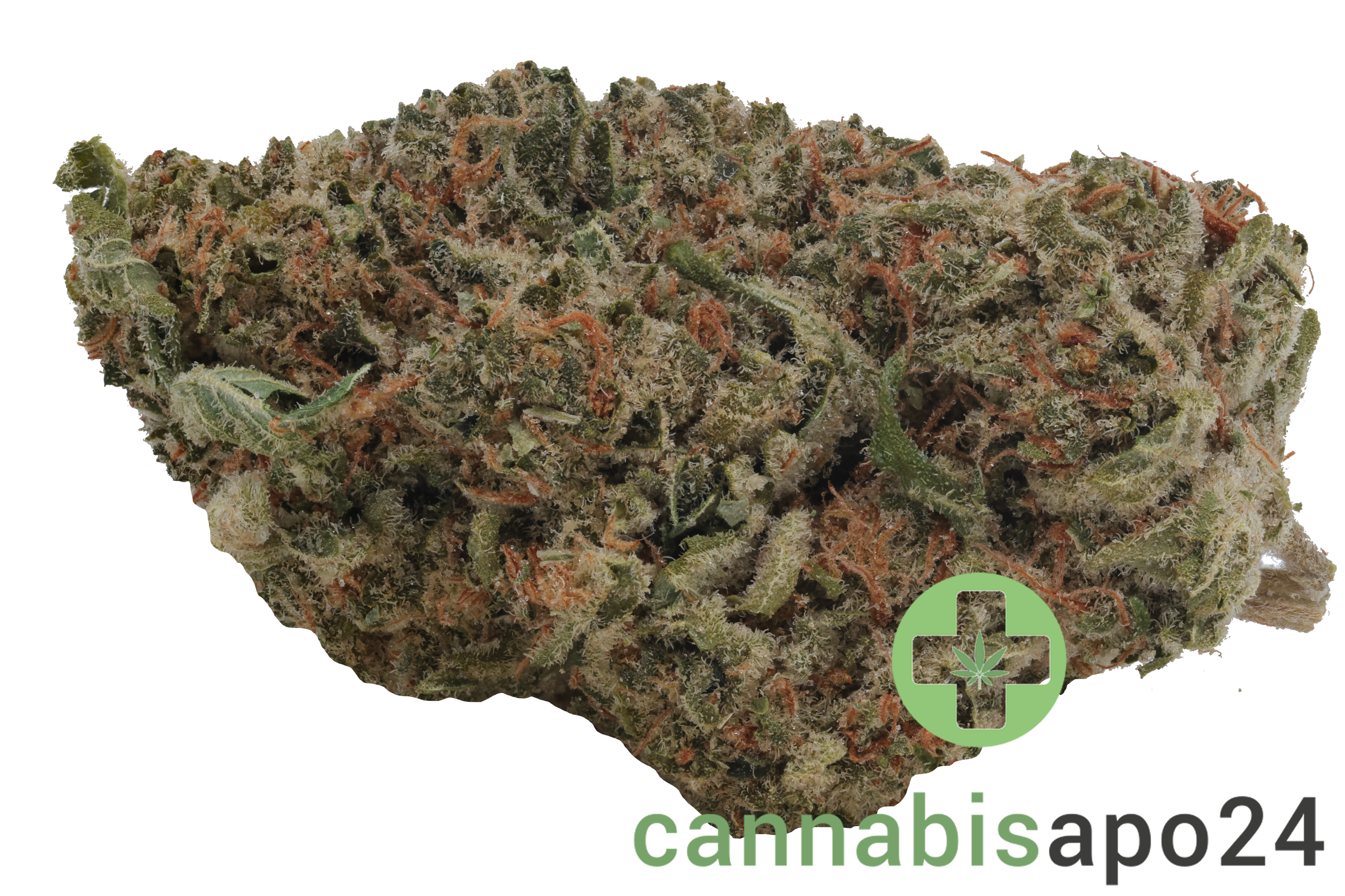Demecan Core Sunshine Pure 22/1 Tropicana Cookies