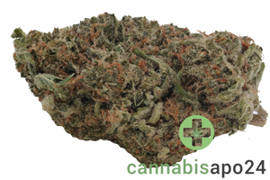 Demecan Core Sunshine Pure 22/1 Tropicana Cookies