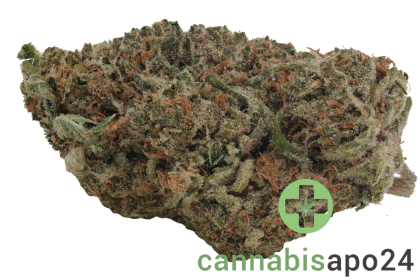 Demecan Core Sunshine Pure 22/1 Tropicana Cookies