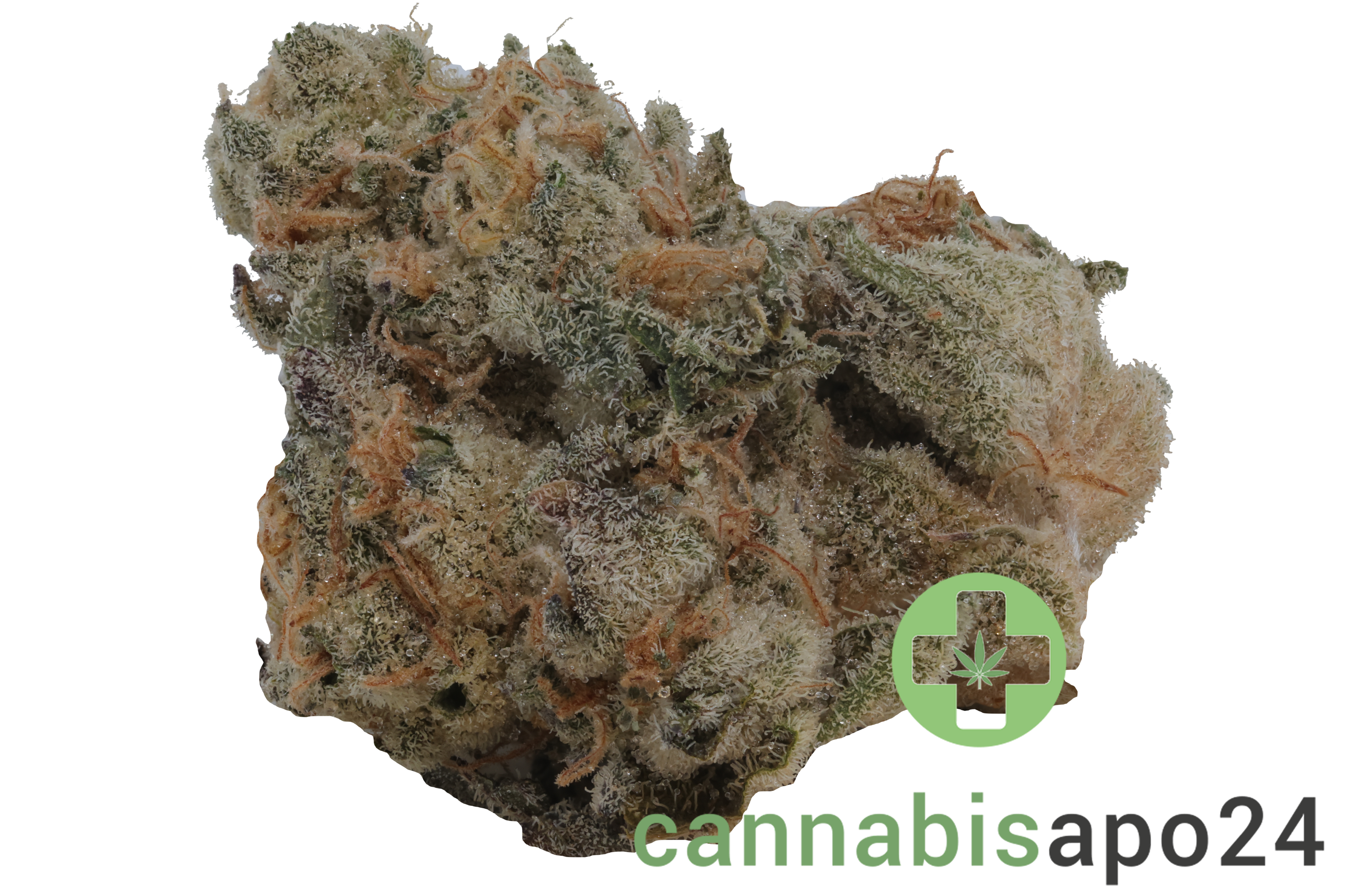 Demecan Craft Electron 31/1 Gelato OG Kush