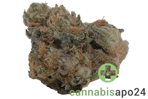 Demecan Craft Electron 31/1 Gelato OG Kush