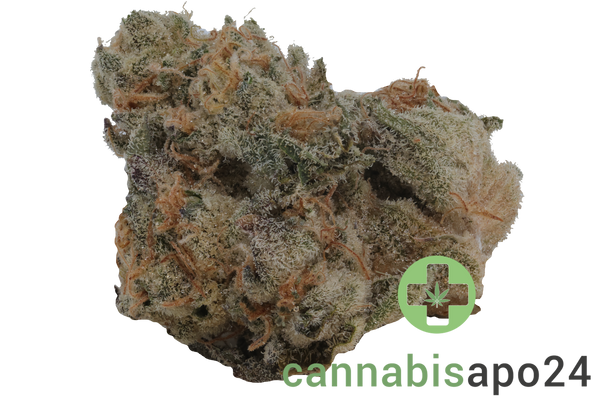 Demecan Craft Electron 31/1 Gelato OG Kush