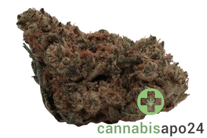 Demecan Core Echo 27/1 Cereal Milk