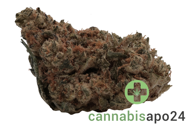 Demecan Core Echo 27/1 Cereal Milk