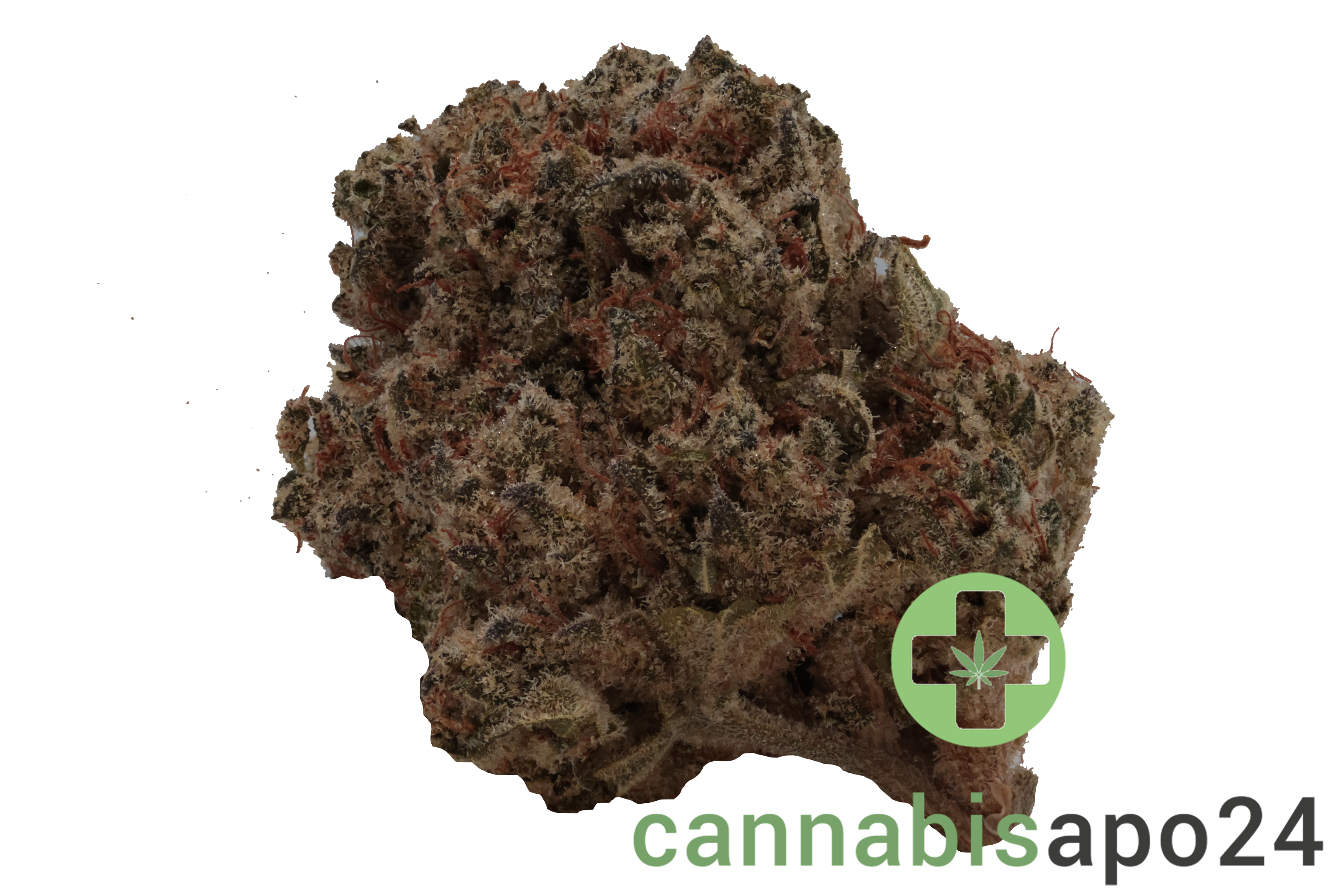 Demecan Core Golden Horizon 31/1 Golden Goat