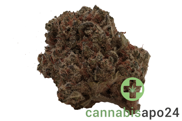 Demecan Core Golden Horizon 31/1 Golden Goat