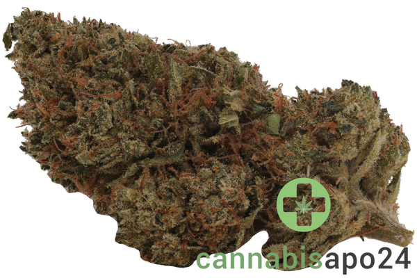 Demecan Core OG 21/1 OG Kush