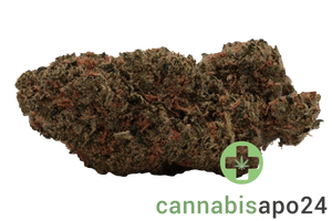 Demecan Core Sunshine Pure 25/1 Tropicana Cookies