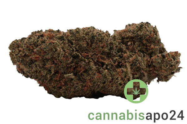 Demecan Core Sunshine Pure 25/1 Tropicana Cookies