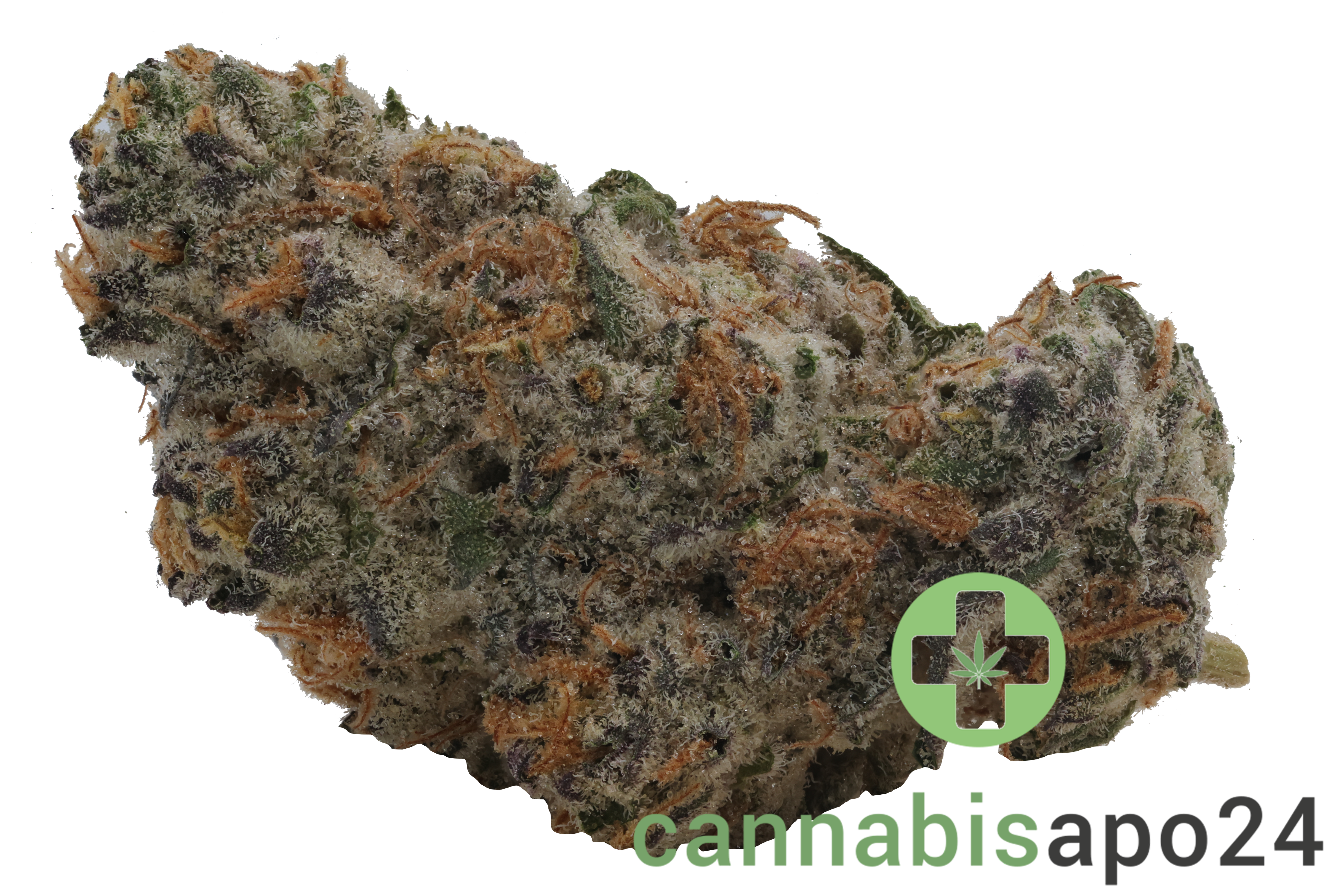 Craft ALOHA 34/1 White Widow x Trainwreck
