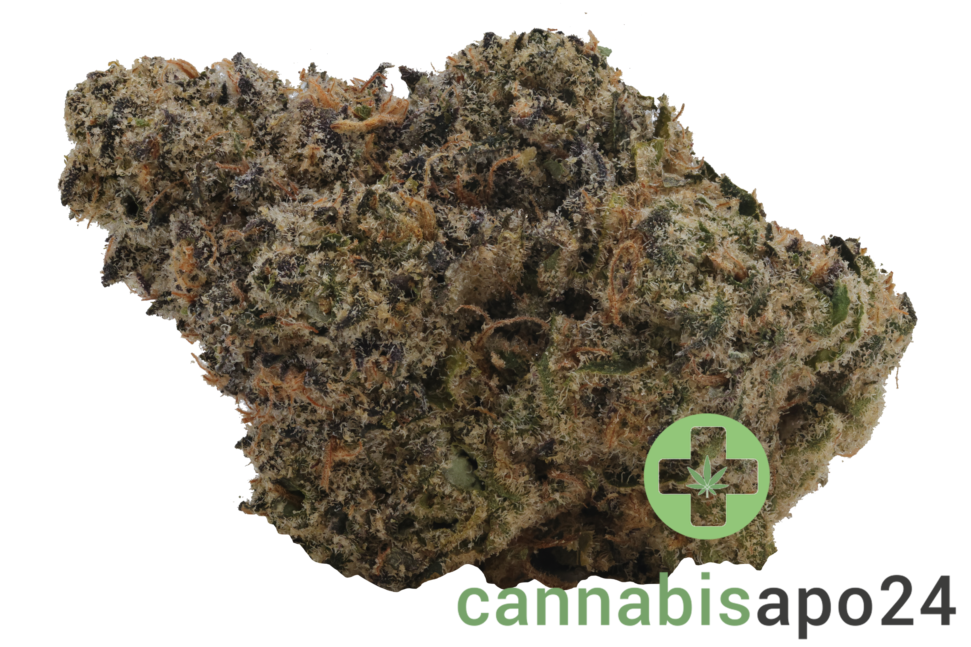 Demecan Craft Magister 26/1 Black Marker