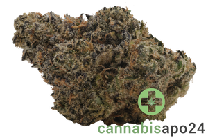 Demecan Craft Magister 26/1 Black Marker