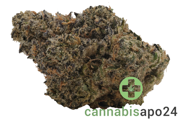 Demecan Craft Magister 26/1 Black Marker