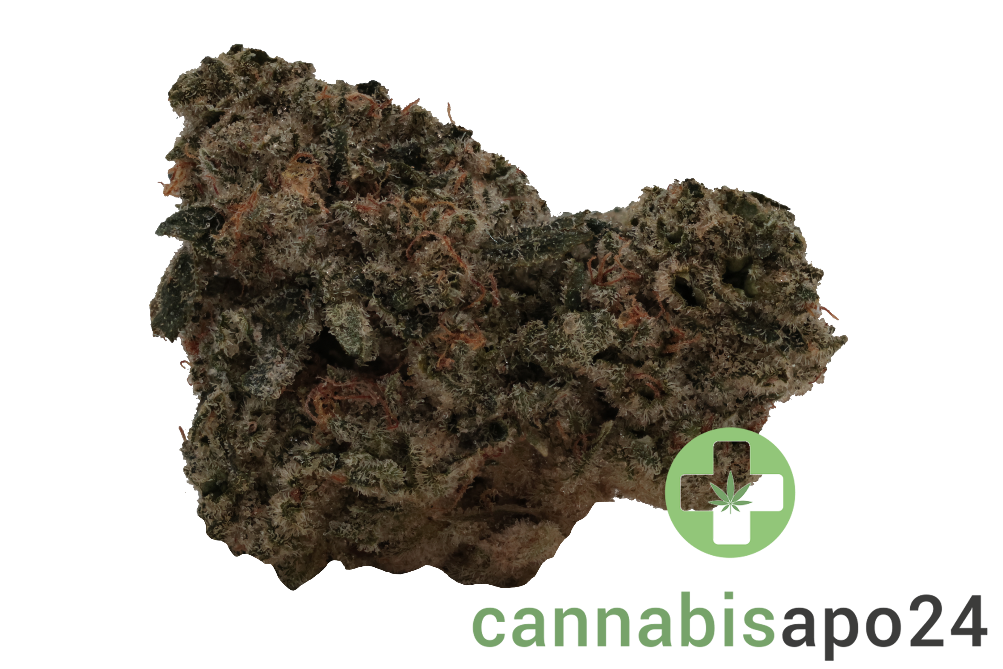 Demecan Craft D-Jungle 28/1