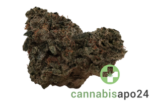 Demecan Craft D-Jungle 28/1