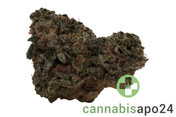 Demecan Craft D-Jungle 28/1