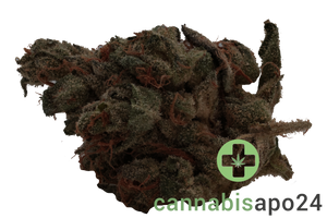 Demecan Craft Rocket 28:01