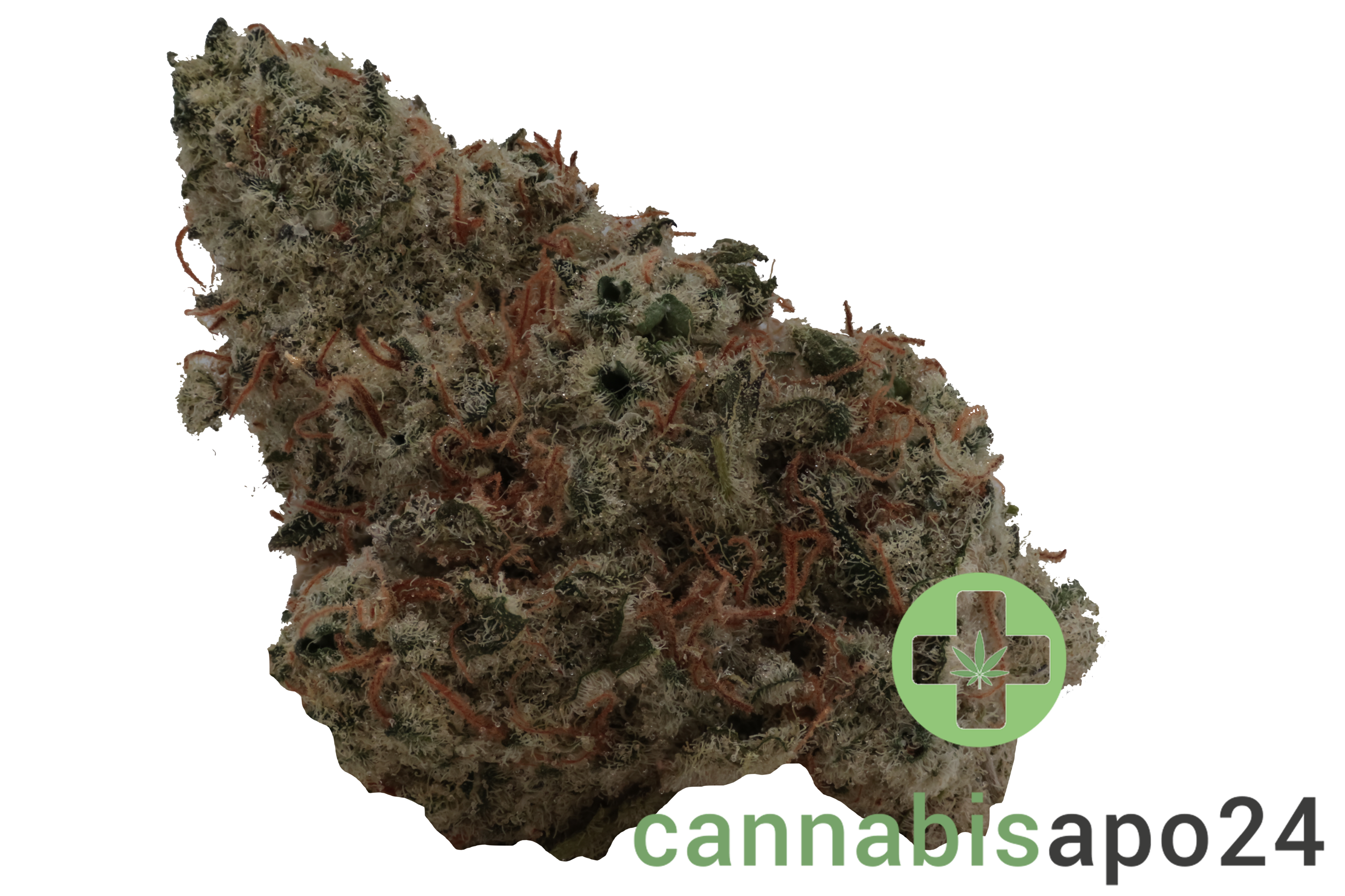 Demecan PG Epic Drop - Gas Face