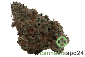 Demecan PG Epic Drop - Gas Face