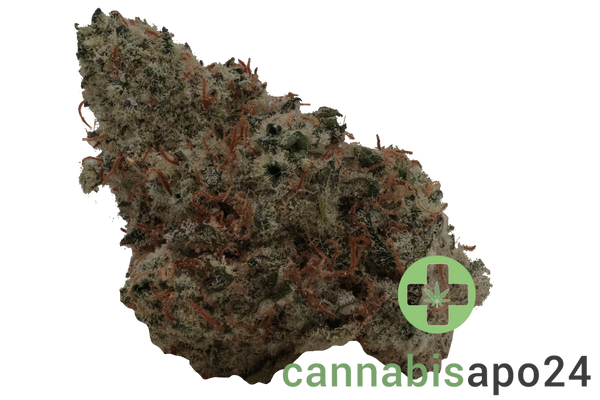 Demecan PG Epic Drop - Gas Face