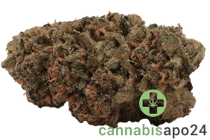 Demecan PS Lean Drop - Tropaya Punch