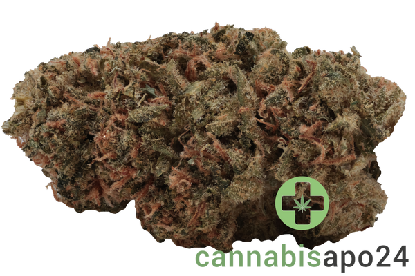 Demecan PS Lean Drop - Tropaya Punch