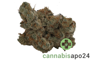 MC Regular Drop - Divorce Cake x Jungle Cake