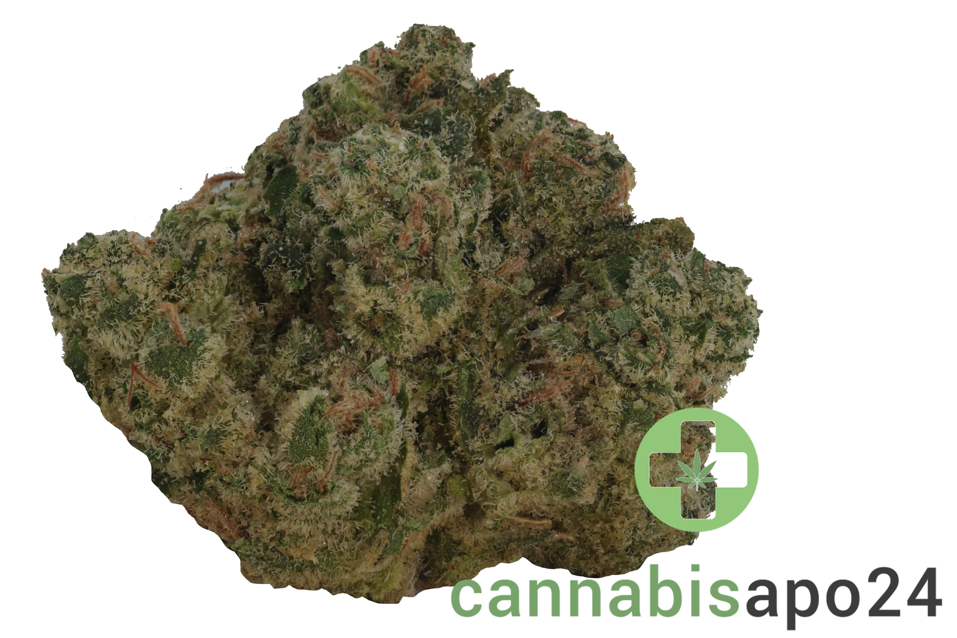 MC Regular Drop GMO x Jet Fuel Gelato