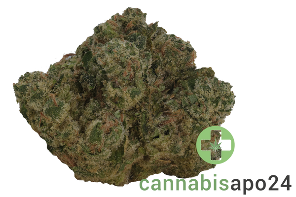 MC Regular Drop GMO x Jet Fuel Gelato