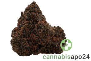 PG Strong Drop 27/1 Gas Face