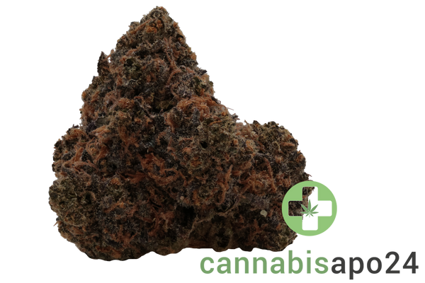 PG Strong Drop 27/1 Gas Face