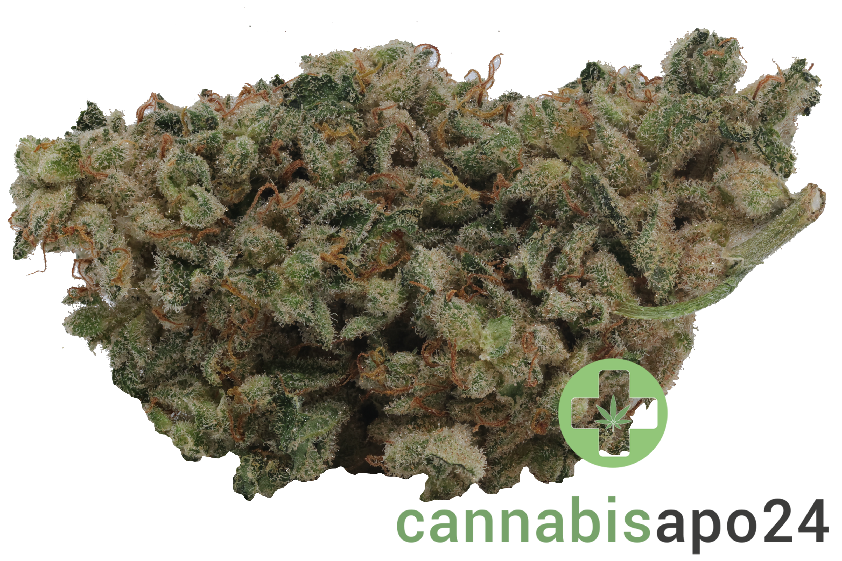 DMC Strong Drop - Holy Roller #11