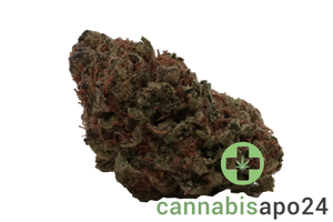 Drapalin 27/1 Full Gas