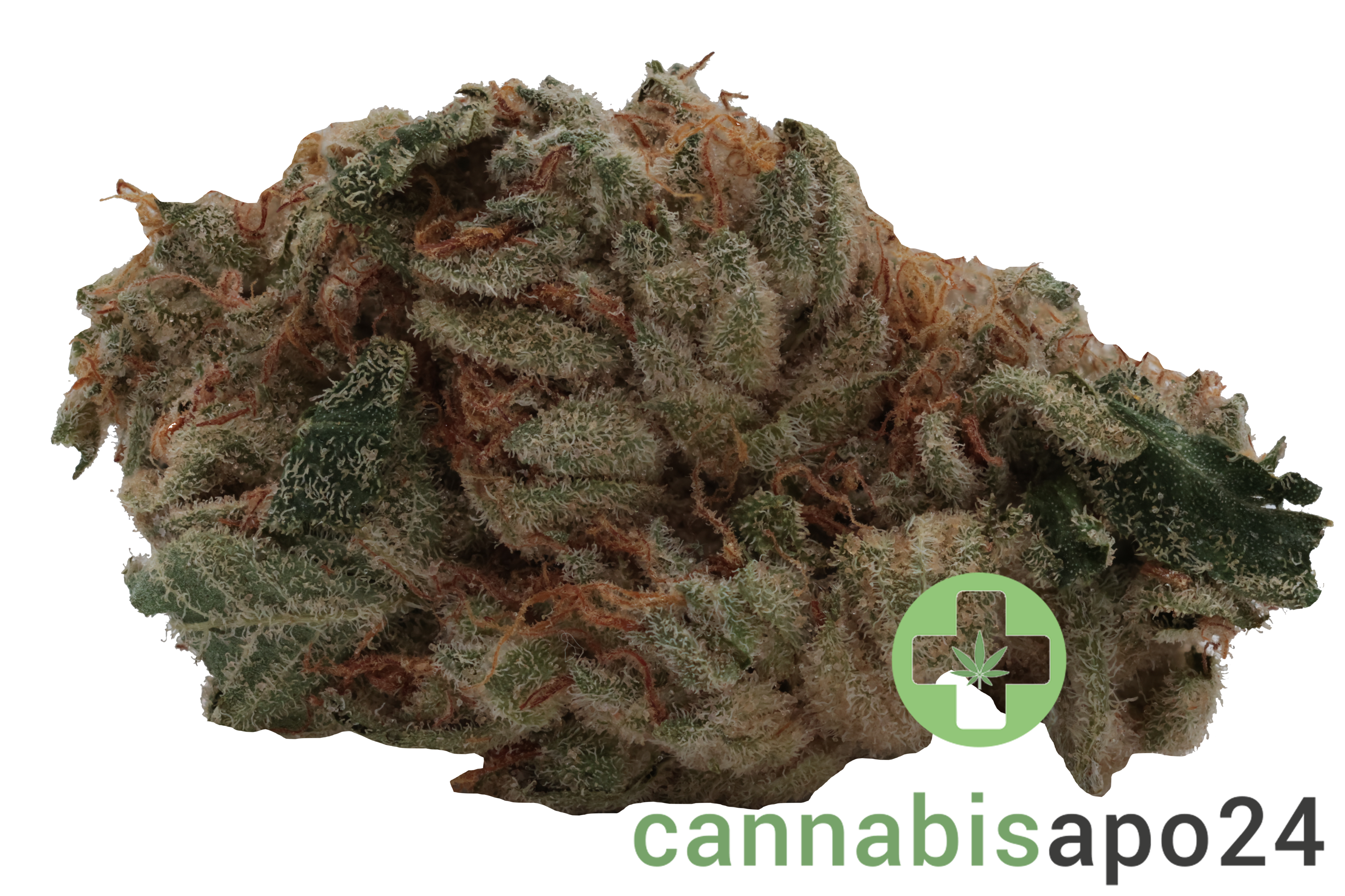 Drapalin 31/1 Da Fux