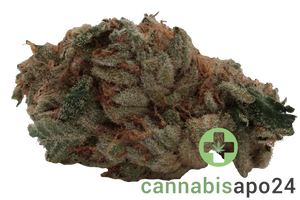 Drapalin 31/1 Da Fux