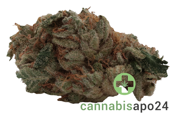 Drapalin 31/1 Da Fux